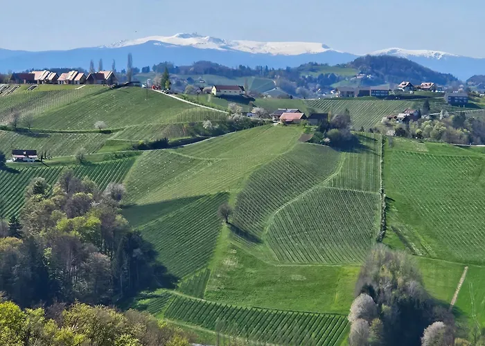 Weingartenhaus Eckberg41 بيت للعطل