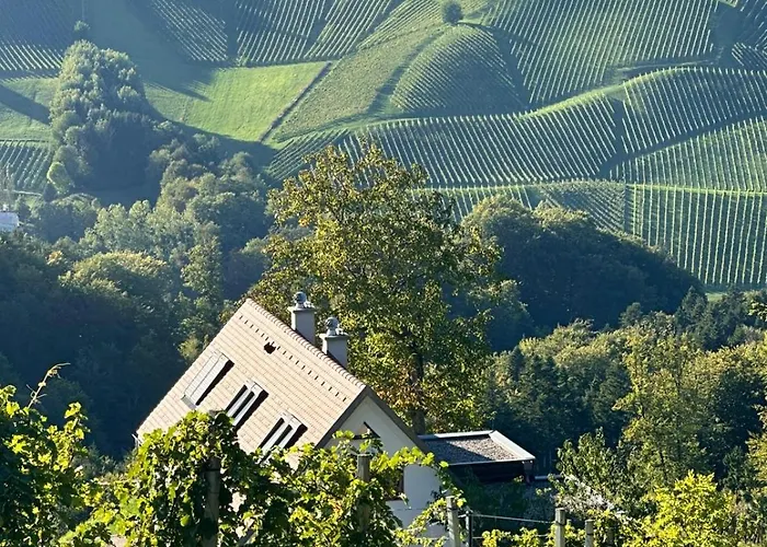 Weingartenhaus Eckberg41 펜션 Eckberg